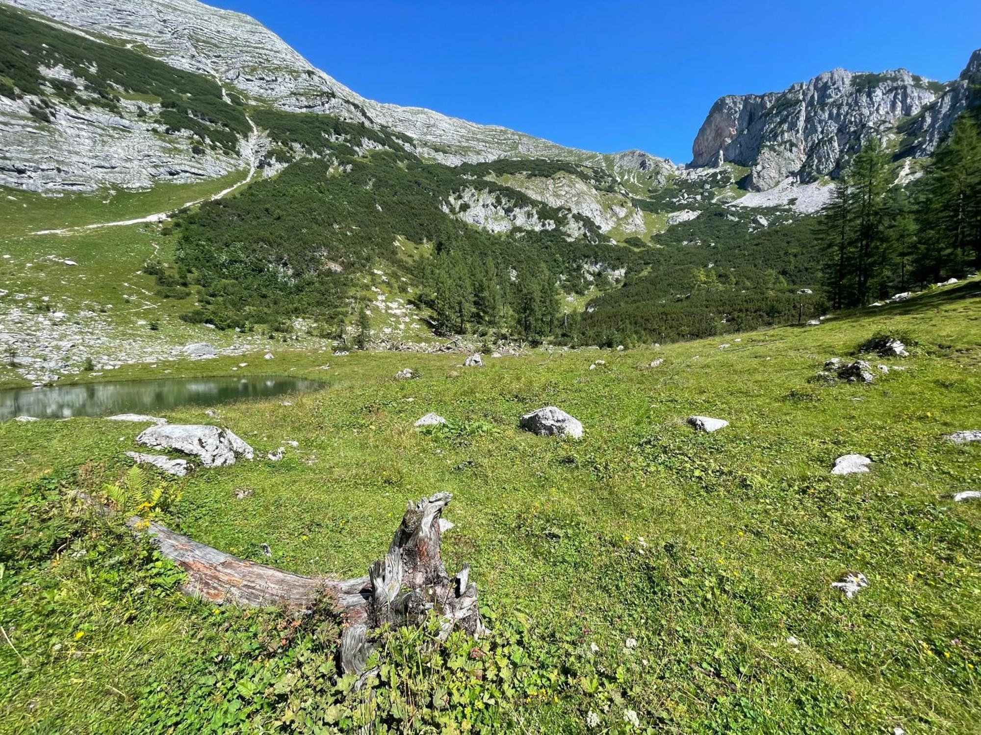 Appartements Olympia Mayrhofen Dış mekan fotoğraf