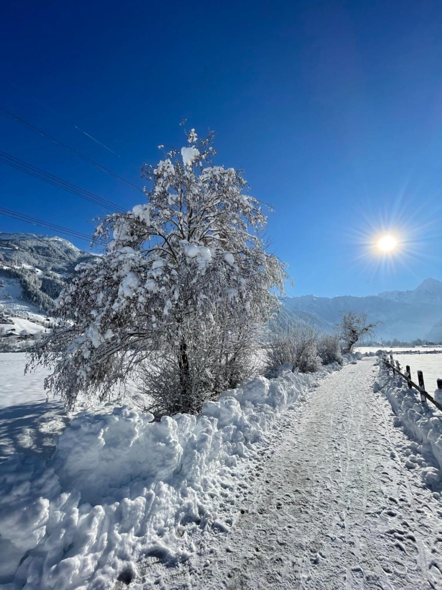 Appartements Olympia Mayrhofen Dış mekan fotoğraf